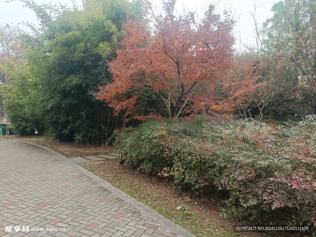 园林景观