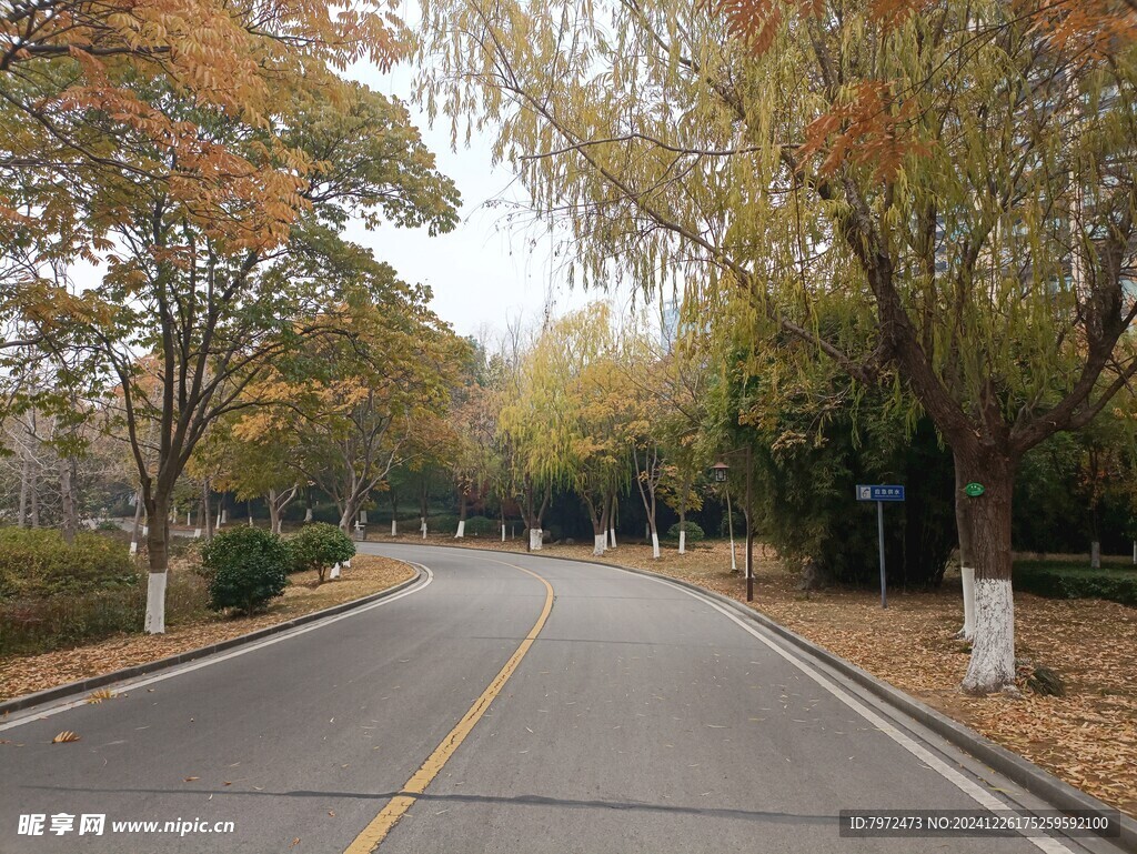 园林景观
