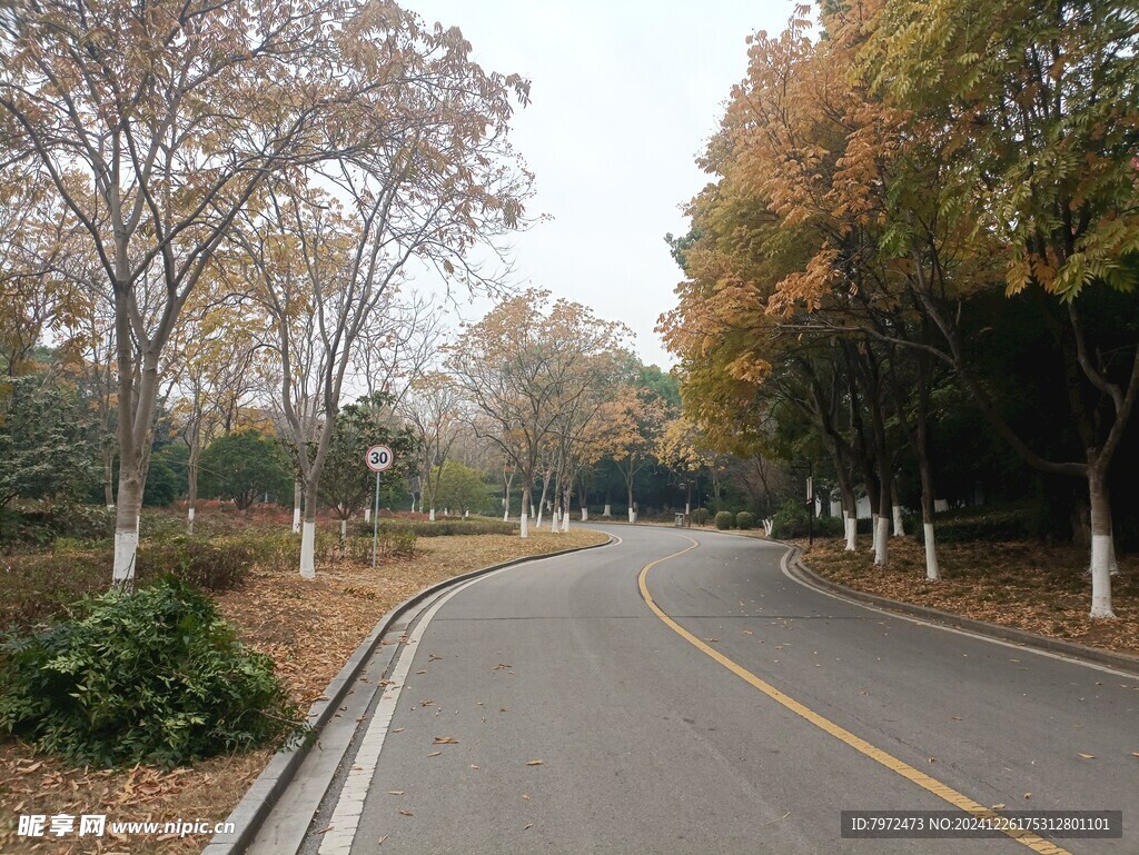 园林景观