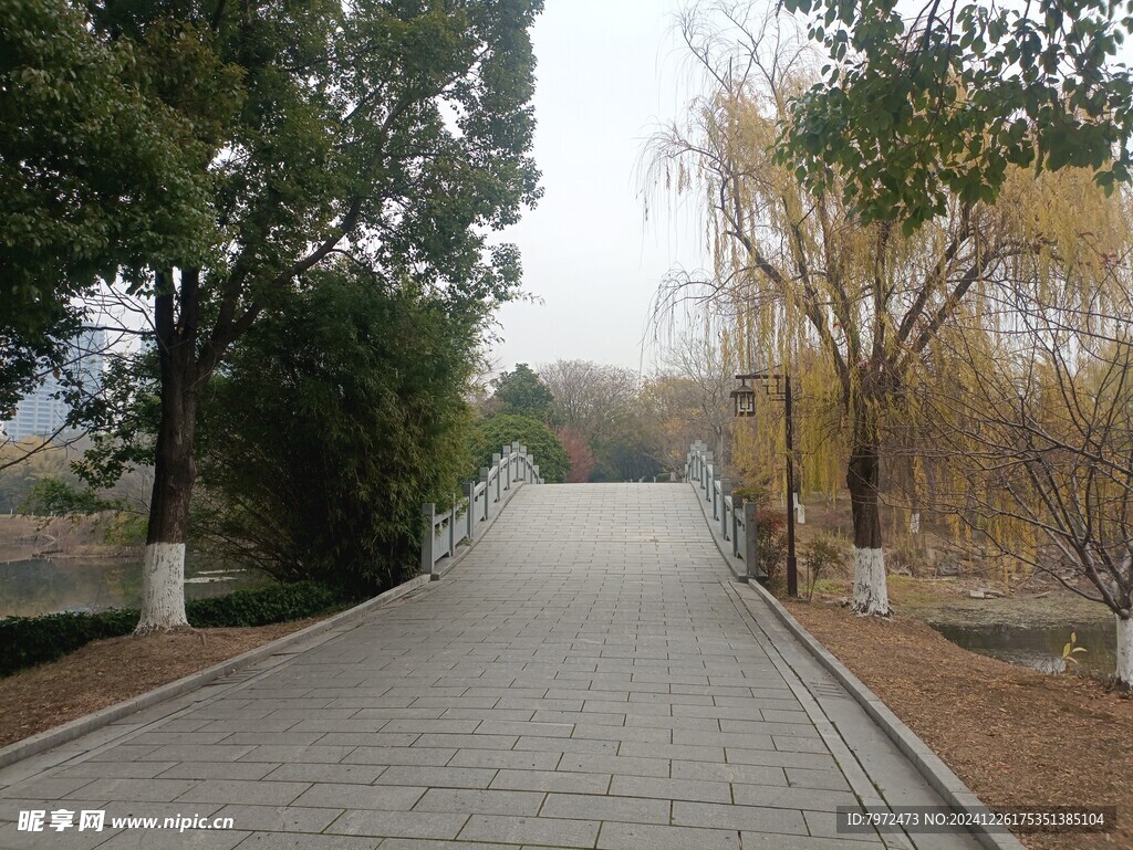 园林景观