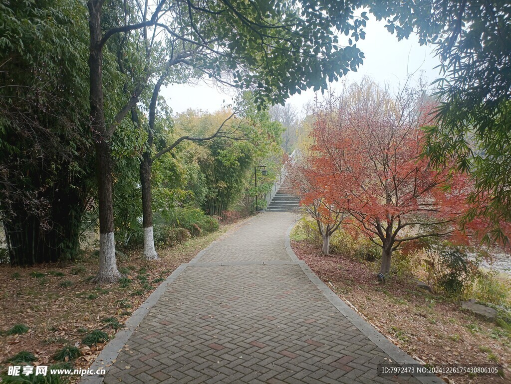 园林景观