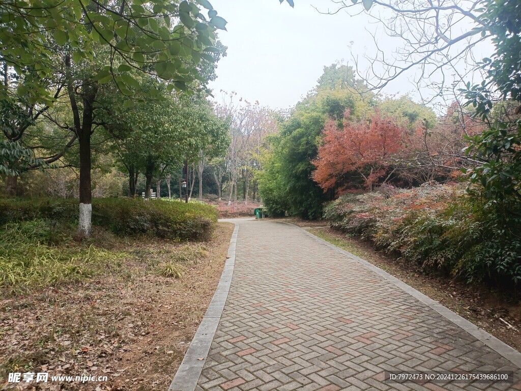 园林景观