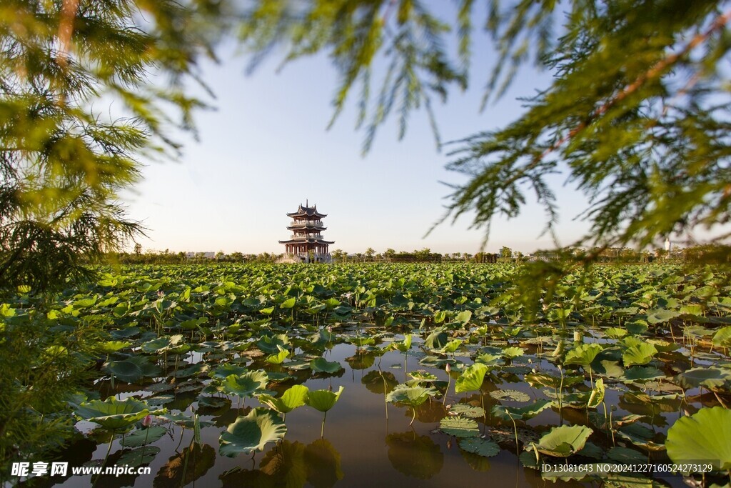 华阳湖湿地公园