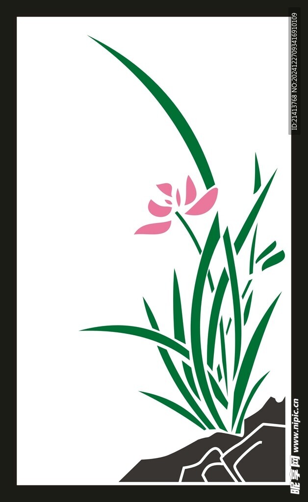 兰花草花卉