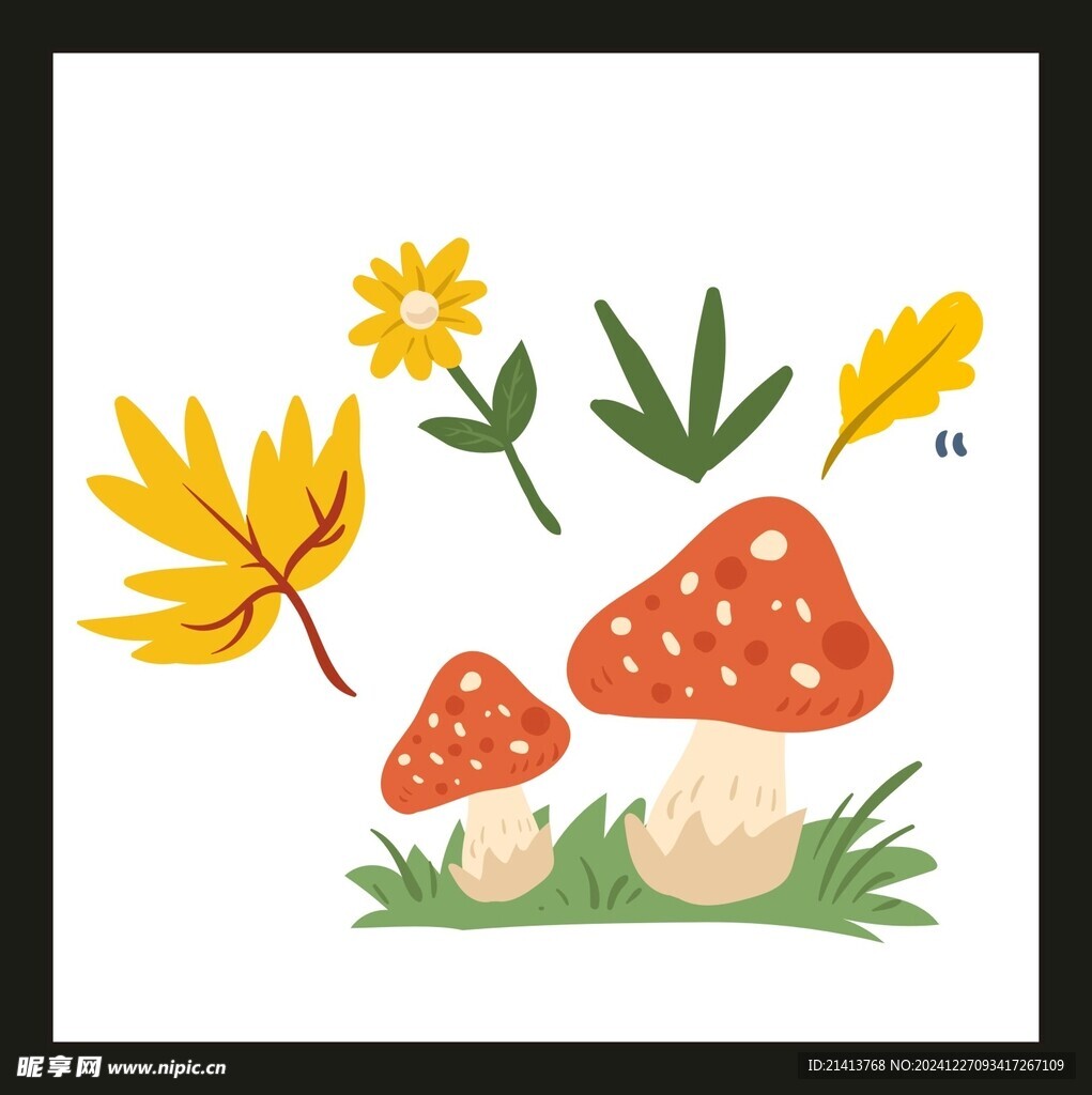 香菇蘑菇花菇