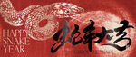 蛇年海报