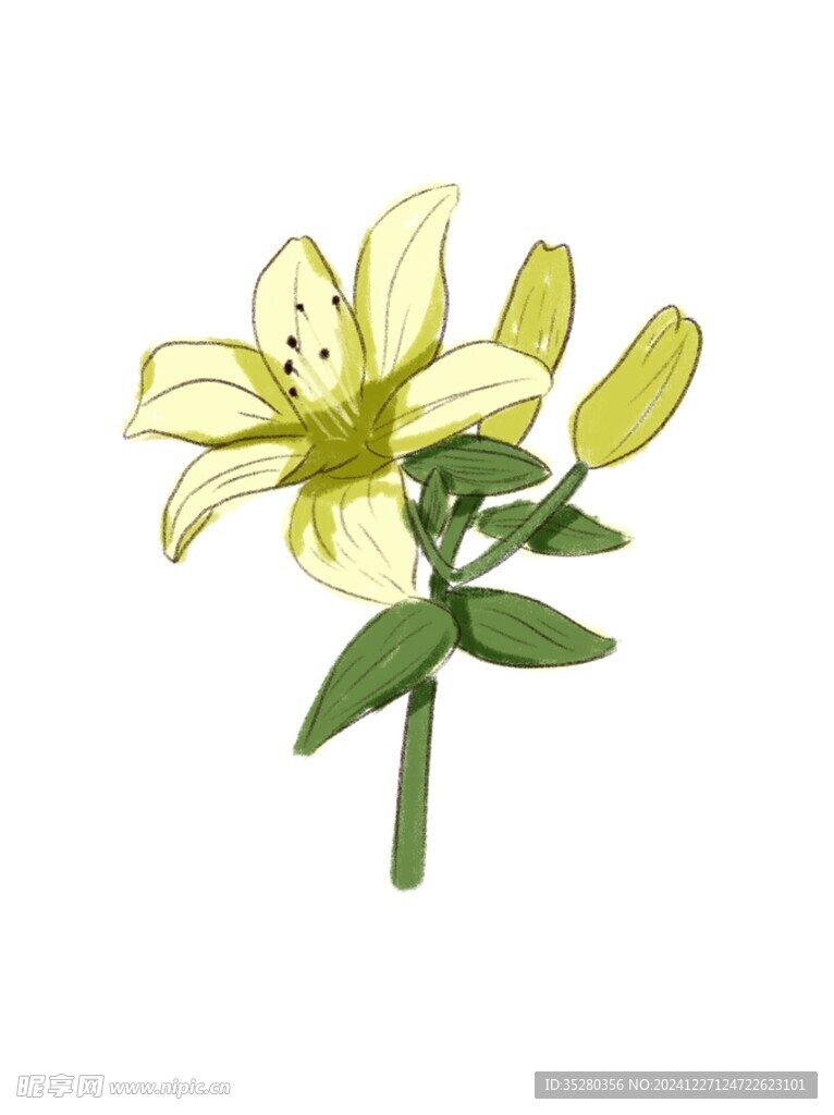 花卉