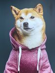 小狗