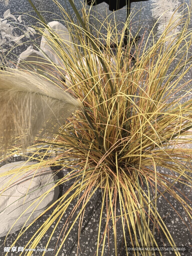 茅草