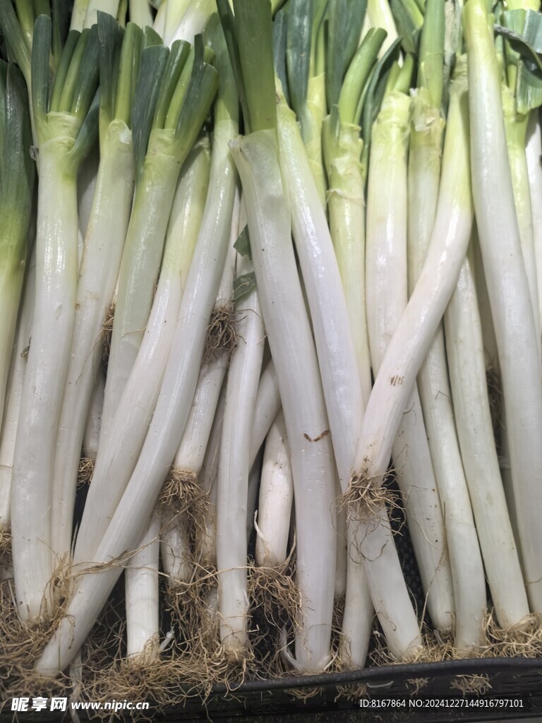 大葱