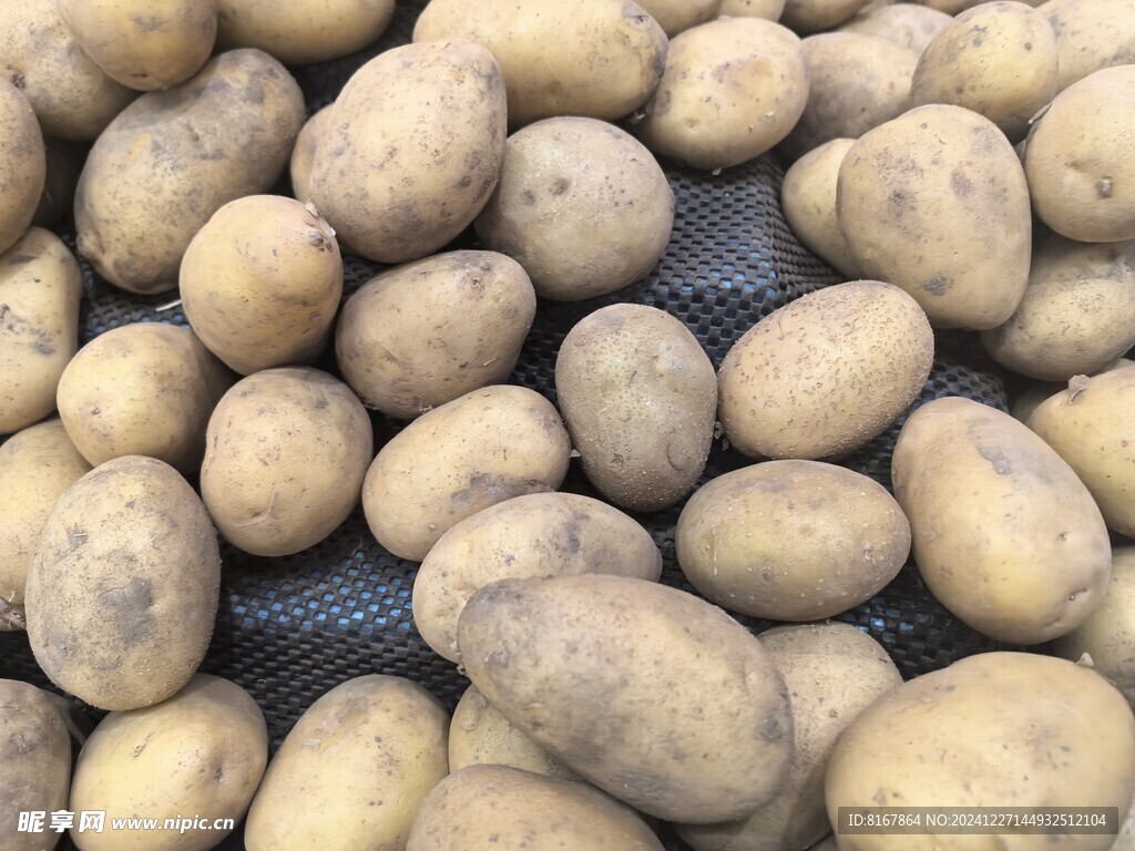 土豆