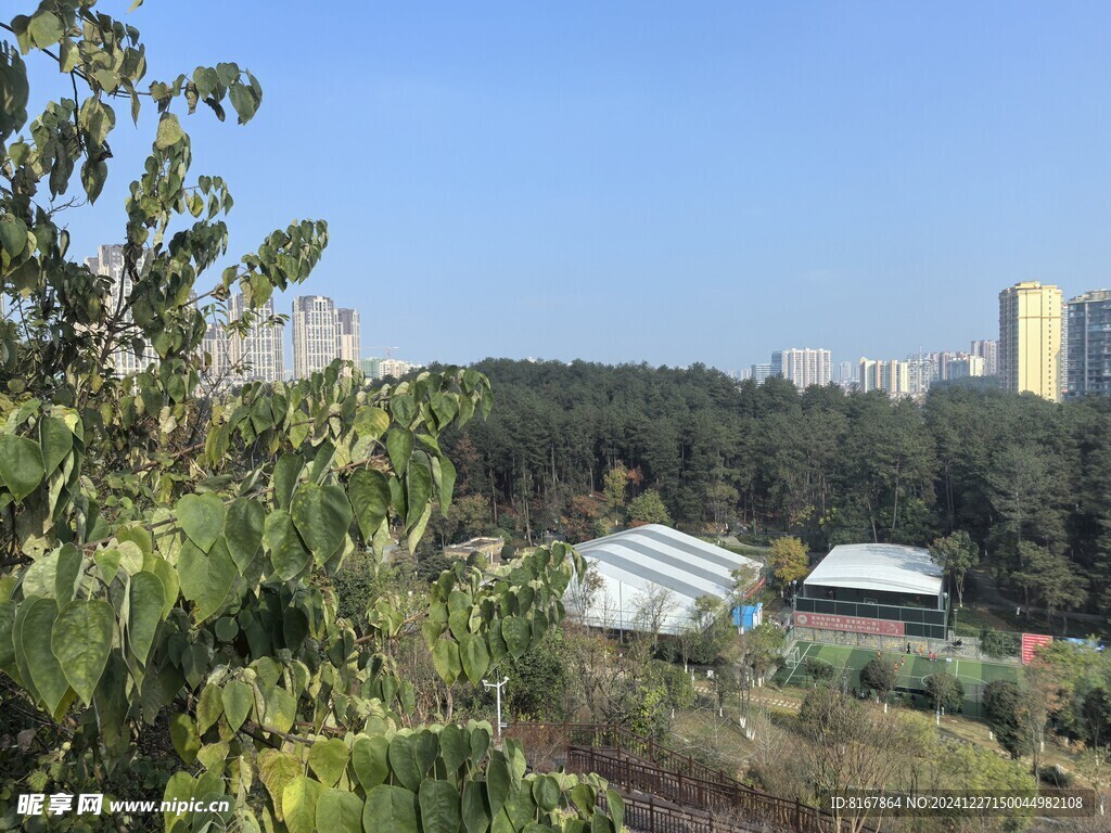 美丽公园