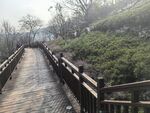 公园云梯
