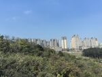 城市公园