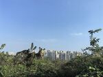 公园景观