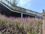 爬山途中