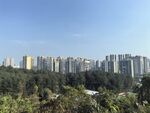 城市公园