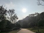 公园美景