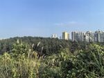 公园景观