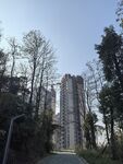 公园高层