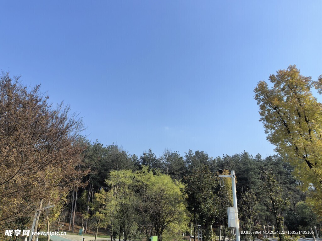 森林公园
