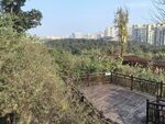公园美景