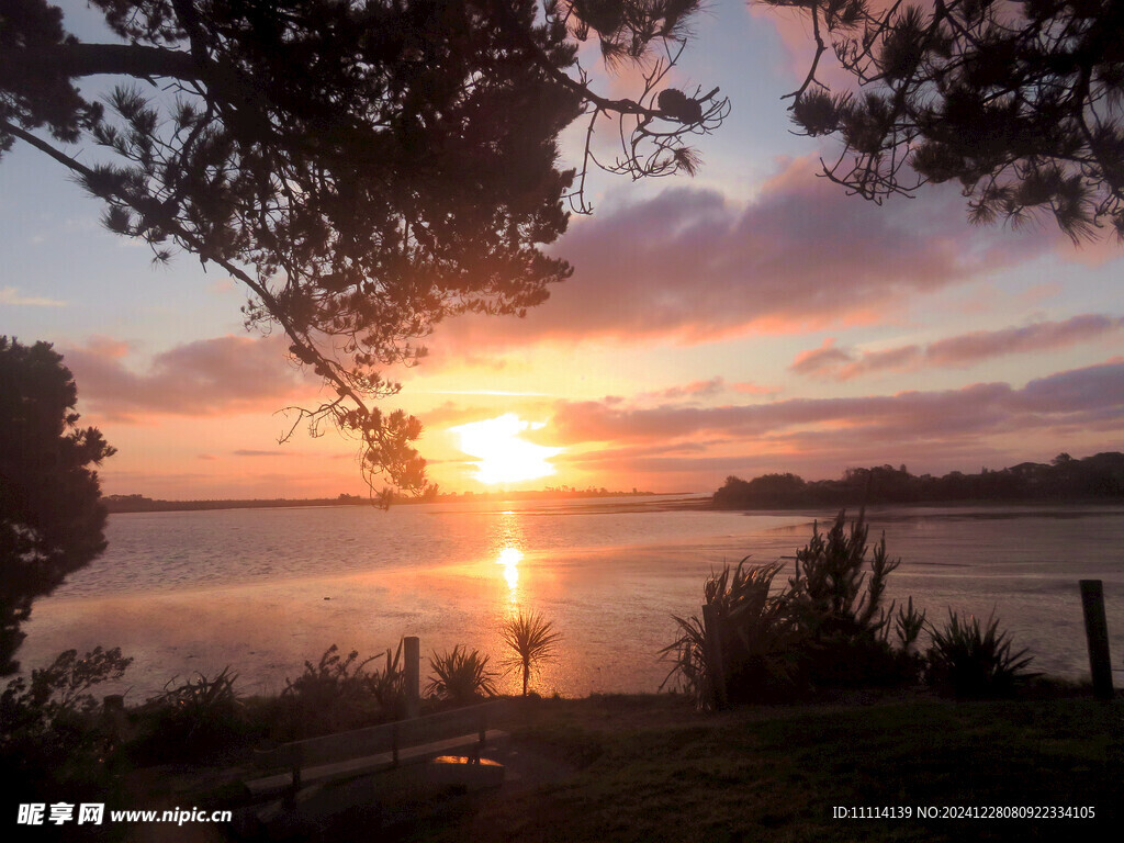 奥克兰海边夕阳风景