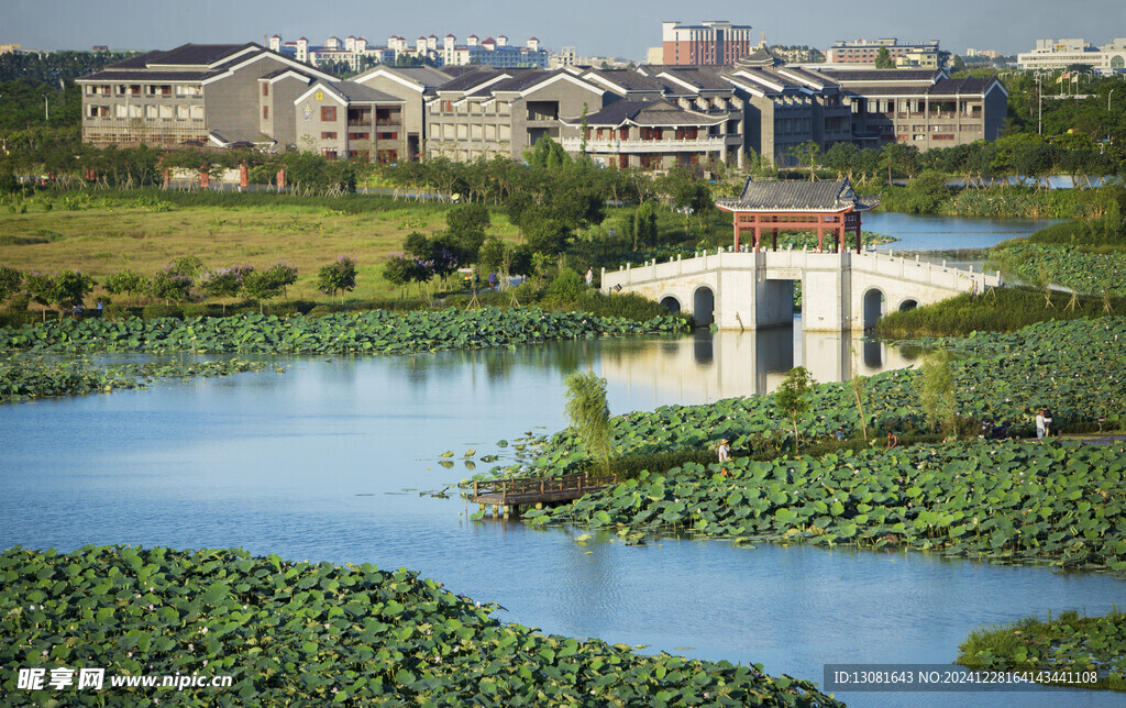 华阳湖湿地公园