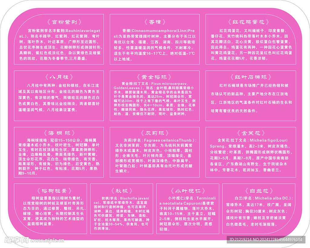 花卉介绍