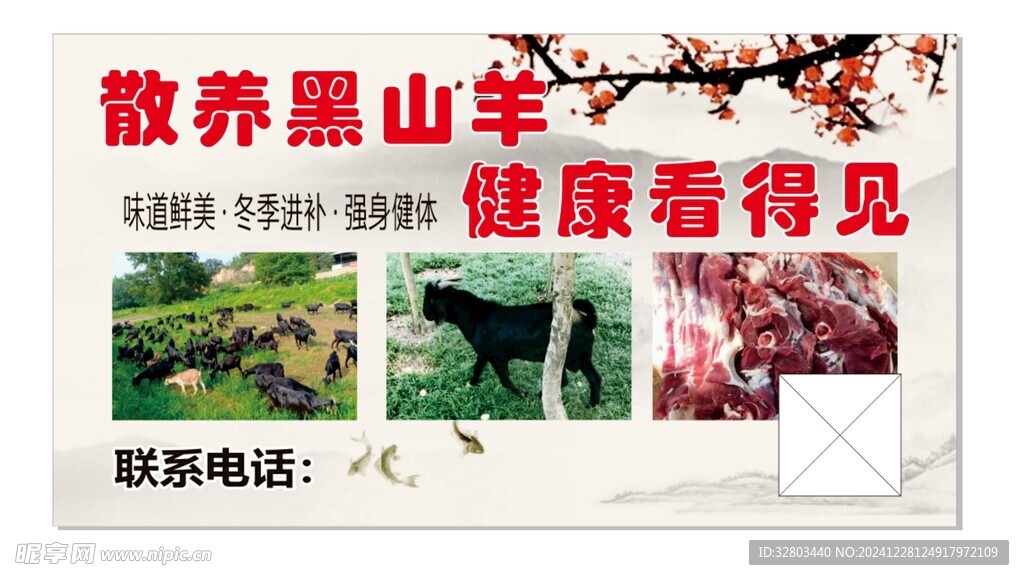 黑山羊 散养 海报