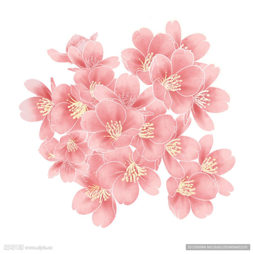 水彩花 