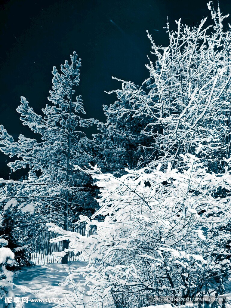  雪景  