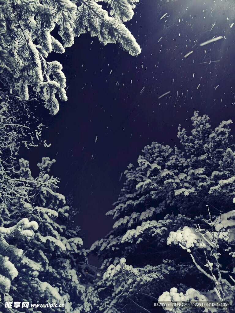  雪景  