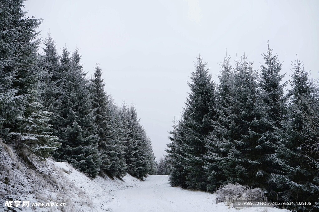 雪景  