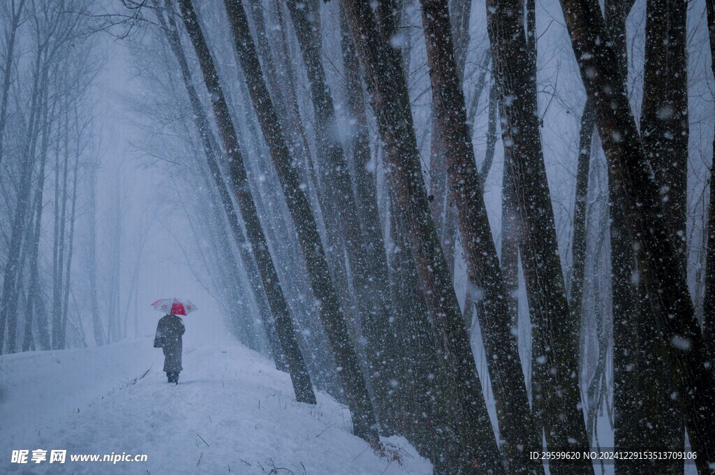 雪景  
