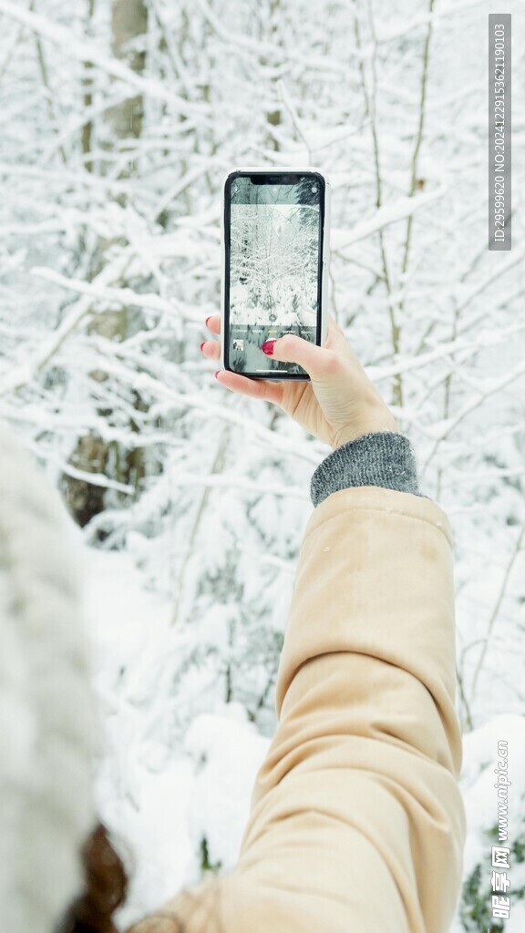 雪花  