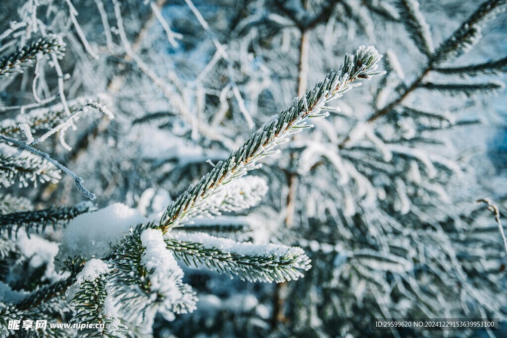 雪花 