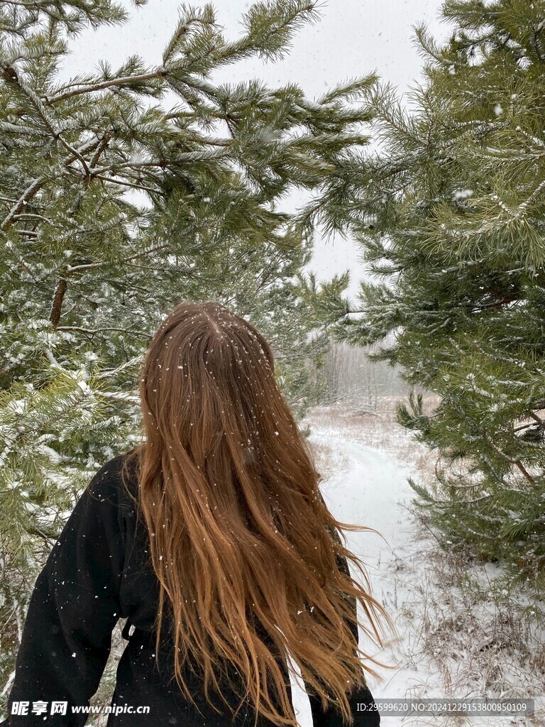 雪景  