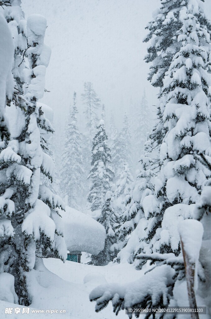 雪景  