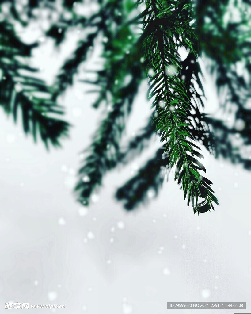 雪景  