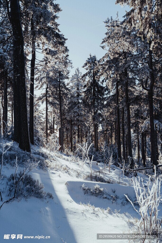 雪景  