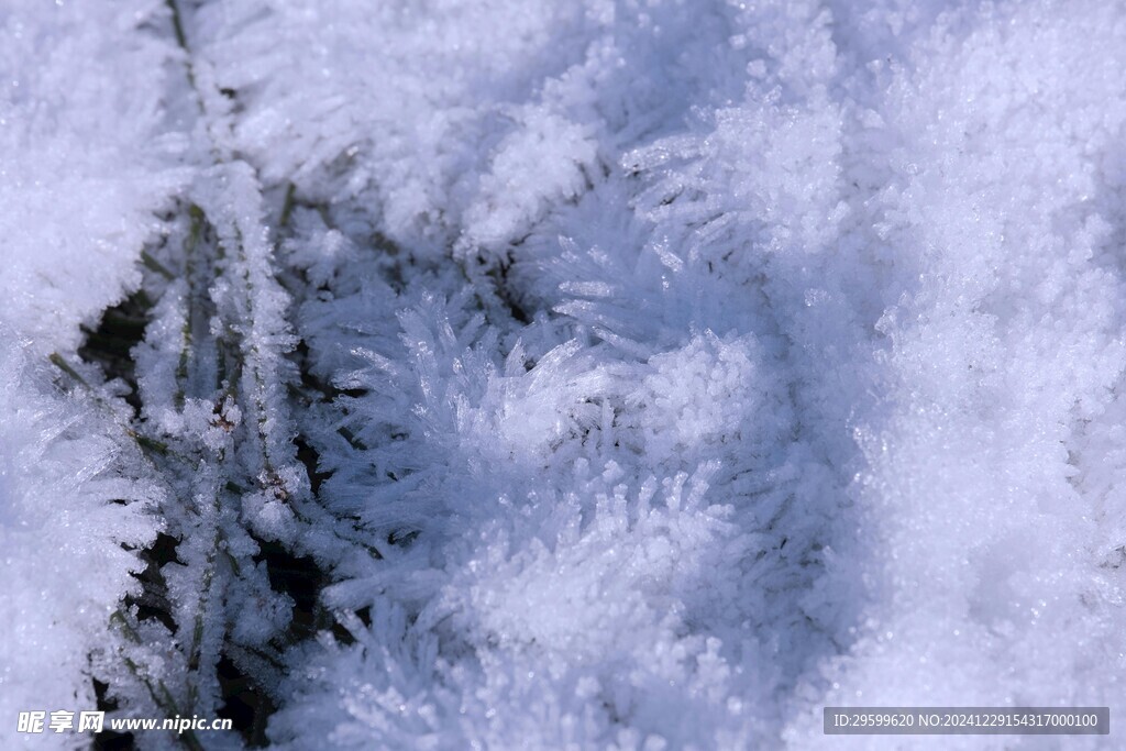 雪景  