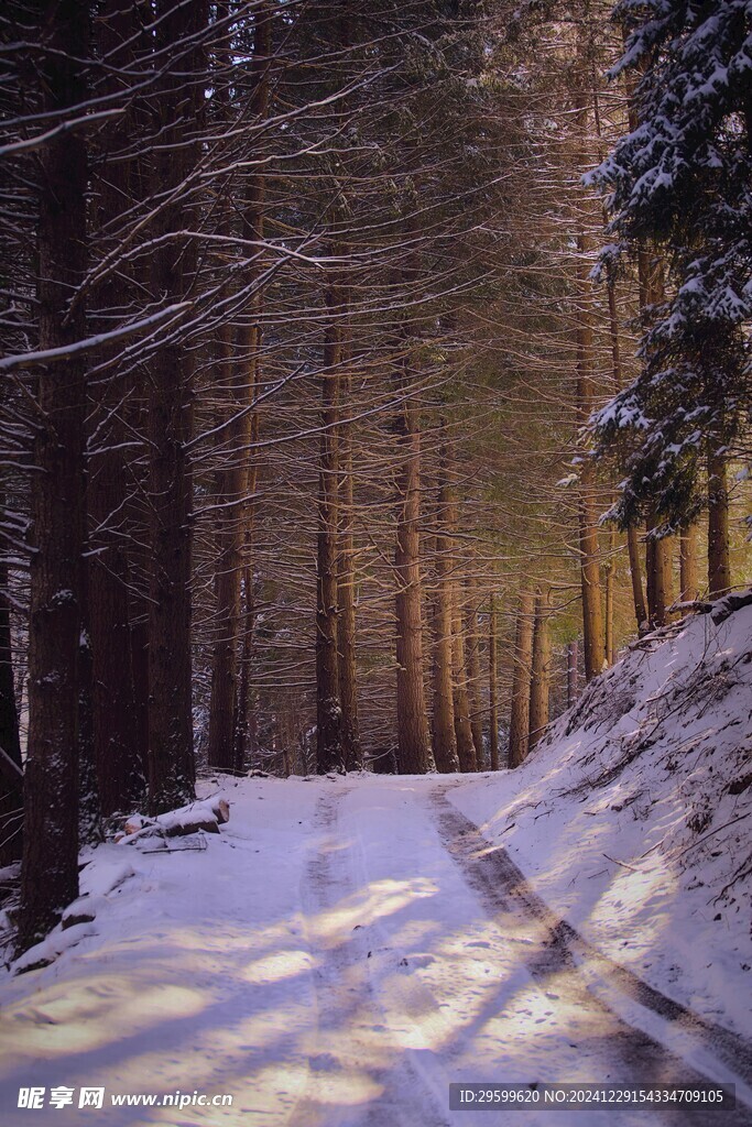 雪景  