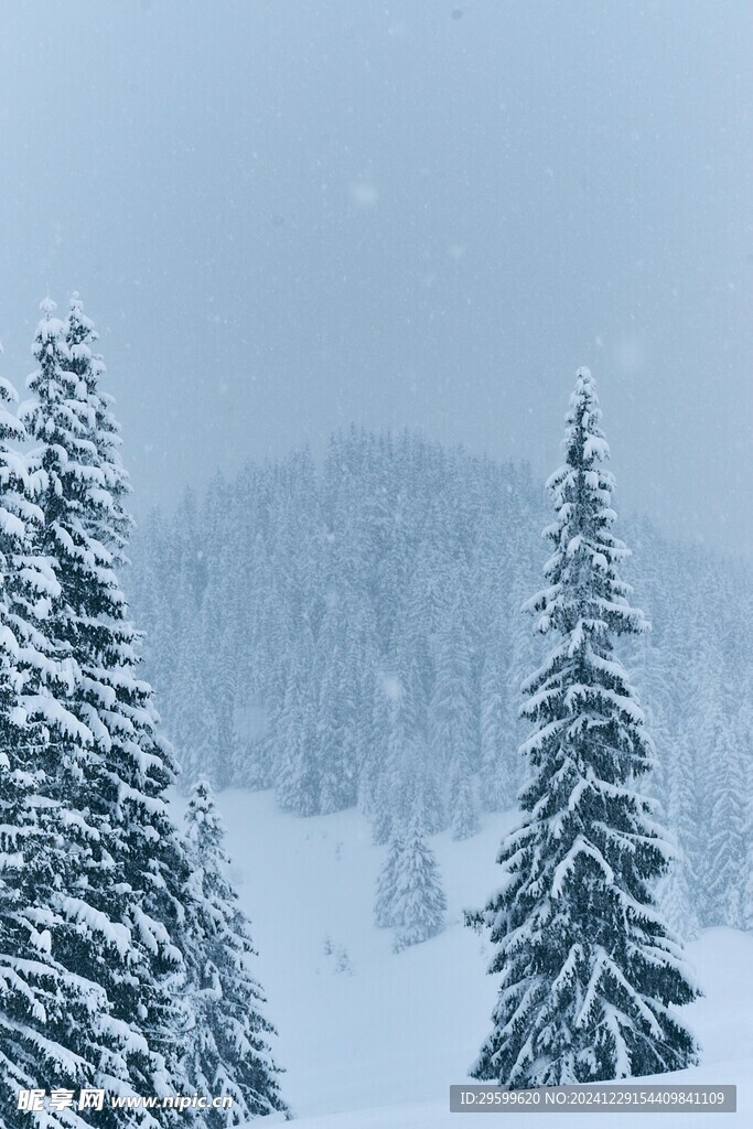 雪景 