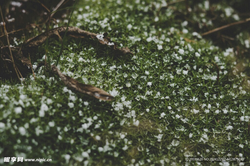 雪景  