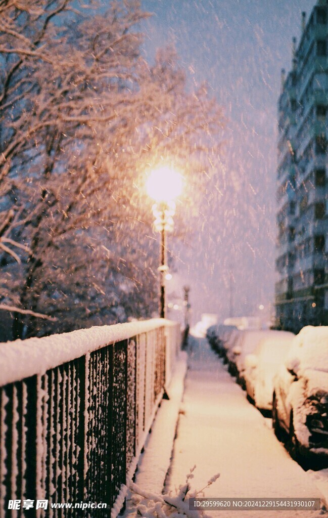 雪景  