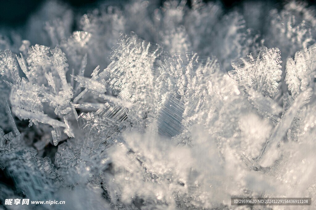 雪景  