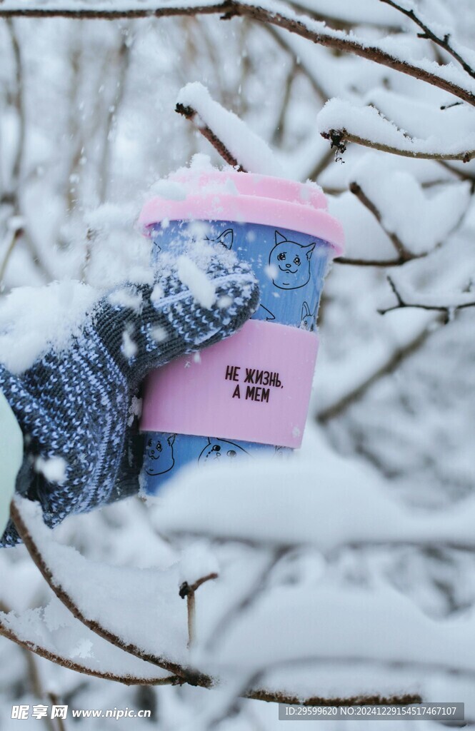 雪景  