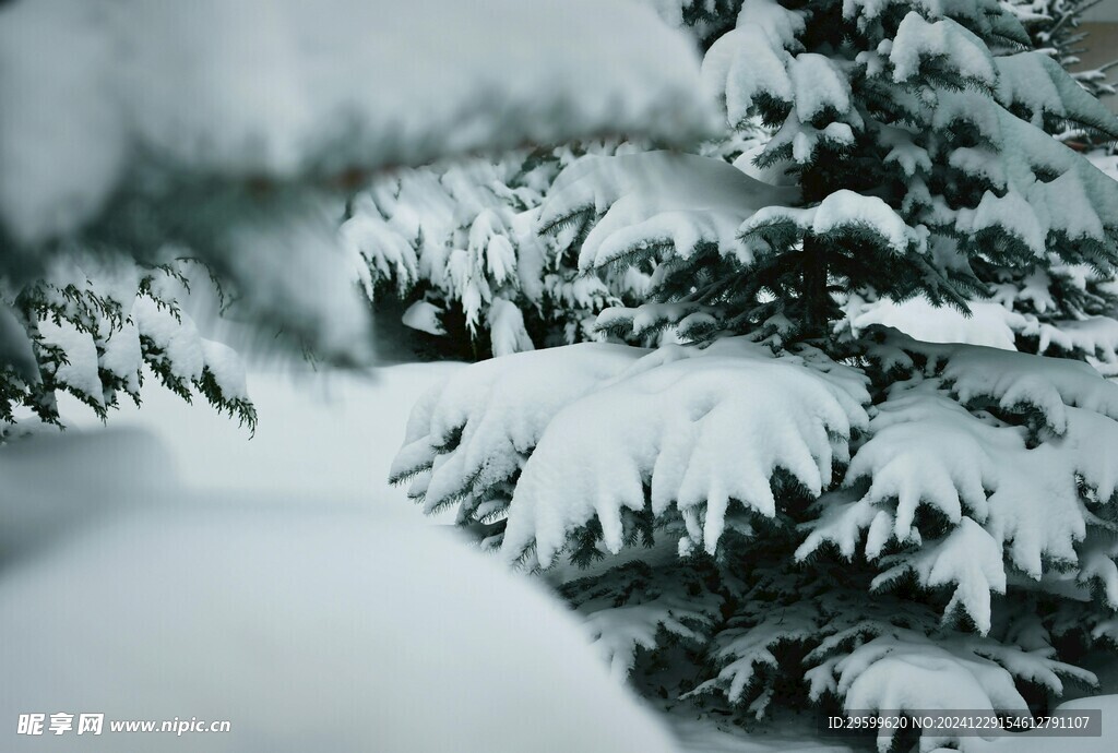 雪景  