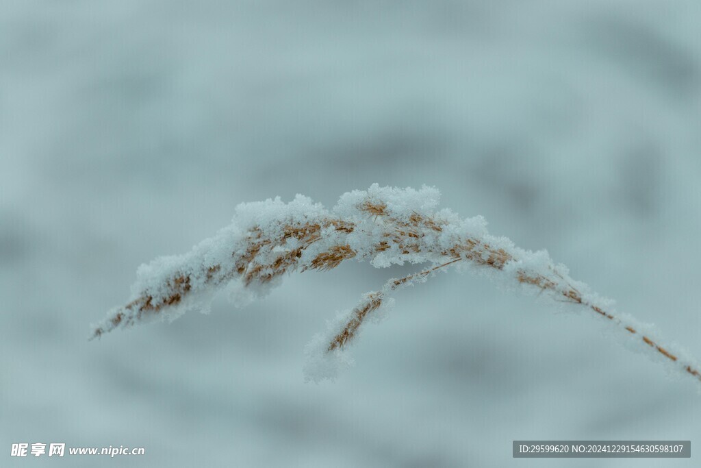 雪景  
